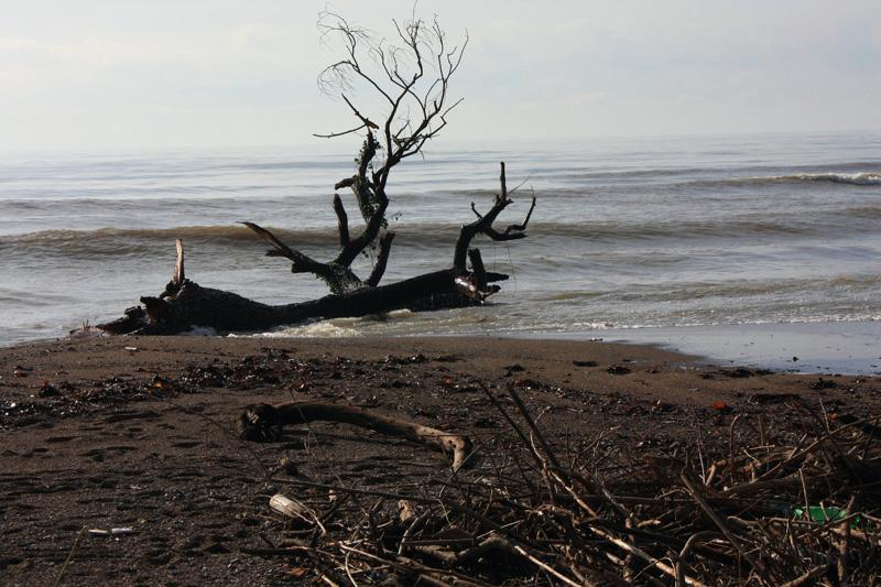 20-Minturno,6 dicembre 2009.jpg